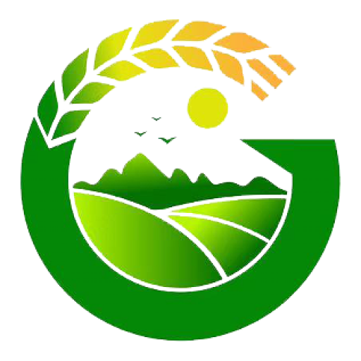 国实盛世